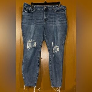 Judy Blue Skinny Jeans 22W